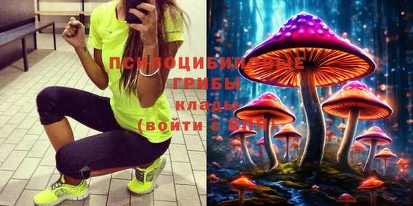 ешки Волоколамск