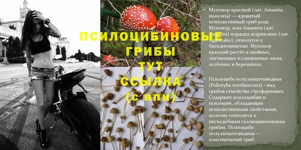 ГАЛЛЮЦИНОГЕННЫЕ ГРИБЫ Володарск