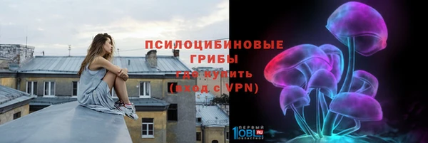 стафф Волосово