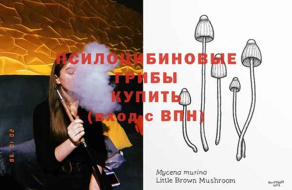 ГАЛЛЮЦИНОГЕННЫЕ ГРИБЫ Володарск