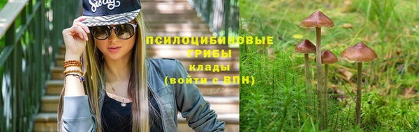 ешки Волоколамск